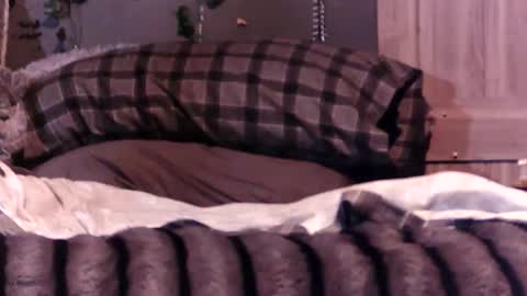 Snapshot of just_me636 chatting on February 12, 2026, 3:01 am just_me636 online show from February 12, 2026, 3:01 am