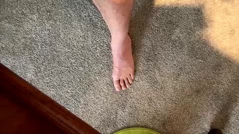 Snapshot of justanudedude chatting on December 5, 2024, 1:38 pm justanudedude online show from December 5, 2024, 1:38 pm