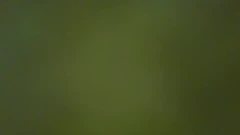 McKeefer online show from January 23, 2025, 5:10 pm