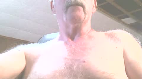 Snapshot of justdon chatting on June 15, 2026, 2:41 pm justdon online show from June 15, 2026, 2:41 pm