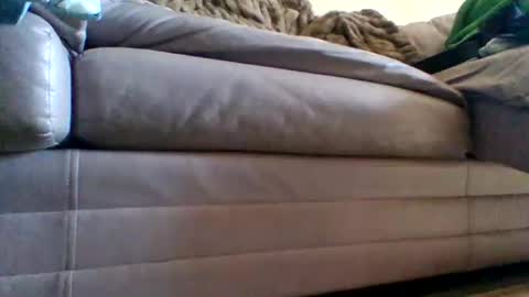 Snapshot of justgrosch4200 chatting on February 27, 2026, 5:46 pm justgrosch4200 online show from February 27, 2026, 5:46 pm