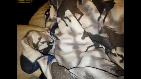 justswack online show from December 7, 2024, 8:44 am