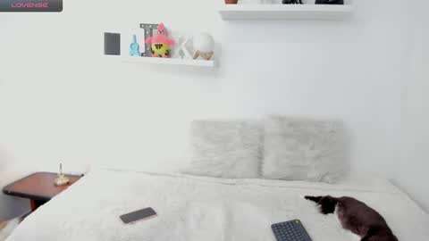 Snapshot of kailua_rose chatting on January 21, 2025, 9:46 pm KailuaRose online show from January 21, 2025, 9:46 pm