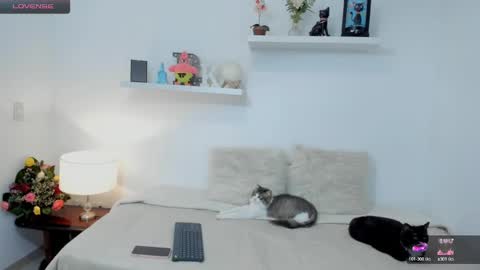 Snapshot of kailua_rose chatting on February 23, 2025, 1:35 am KailuaRose online show from February 23, 2025, 1:35 am