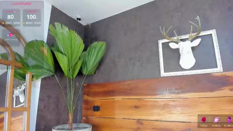   online show from February 20, 2026, 3:03 am