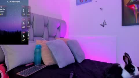 Snapshot of karin_grey69 chatting on February 9, 2025, 8:33 am Karin online show from February 9, 2025, 8:33 am