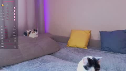 Snapshot of katerinnna chatting on January 30, 2025, 5:52 am Katerina online show from January 30, 2025, 5:52 am