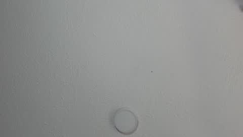 Snapshot of katestone_again chatting on January 17, 2025, 3:32 pm love meeee online show from January 17, 2025, 3:32 pm