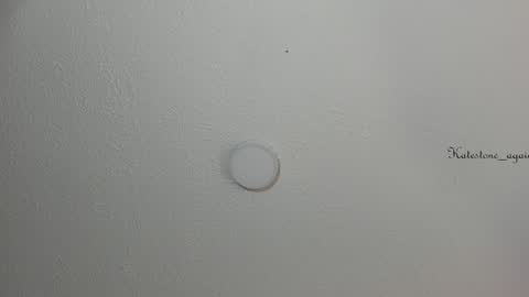 Snapshot of katestone_again chatting on January 28, 2025, 4:52 pm love meeee online show from January 28, 2025, 4:52 pm