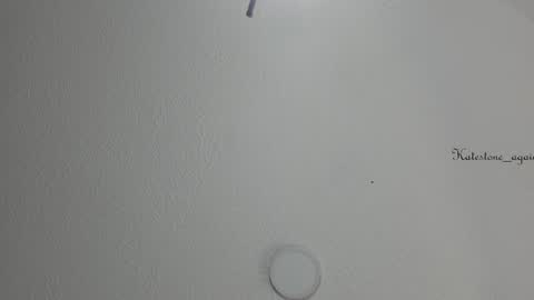 Snapshot of katestone_again chatting on February 6, 2025, 3:20 pm love meeee online show from February 6, 2025, 3:20 pm