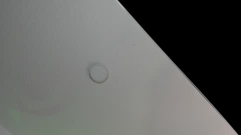 Snapshot of katestone_again chatting on February 8, 2025, 2:27 pm love meeee online show from February 8, 2025, 2:27 pm