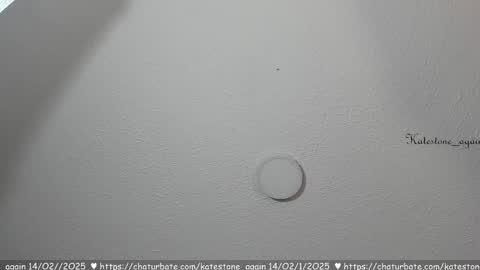 Snapshot of katestone_again chatting on February 14, 2025, 7:44 pm love meeee online show from February 14, 2025, 7:44 pm