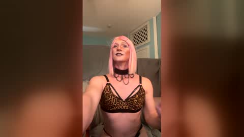 katiebabykitty online show from May 22, 2026, 1:35 am