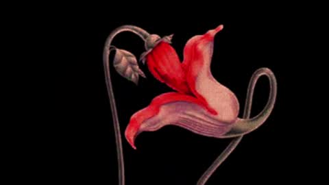 Snapshot of katsurotaro chatting on March 2, 2025, 9:11 pm katsuro online show from March 2, 2025, 9:11 pm