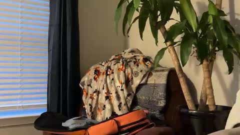 Snapshot of keaton2487 chatting on October 17, 2025, 10:56 pm Keaton Keller online show from October 17, 2025, 10:56 pm