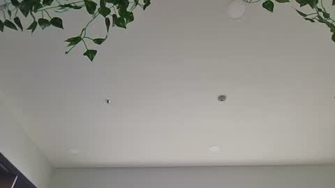 Sky-pure-Japanese online show from April 7, 2026, 5:52 am