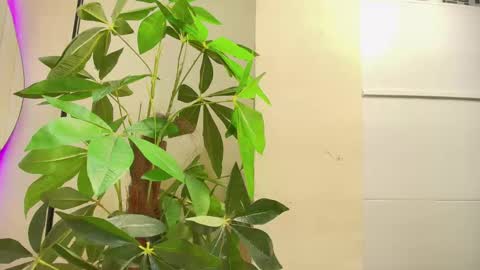 keila online show from October 1, 2025, 12:00 pm