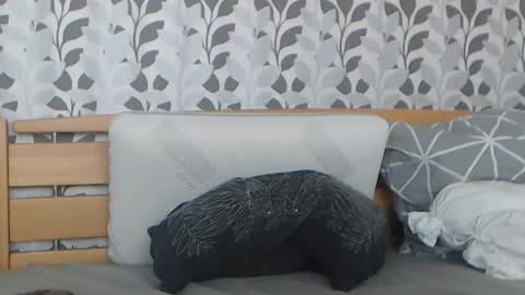 Snapshot of kelywild20 chatting on July 25, 2026, 7:06 am kelywild20 online show from July 25, 2026, 7:06 am