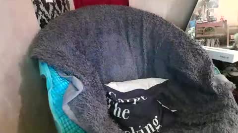 Kennedy Nova  online show from December 20, 2025, 9:22 pm