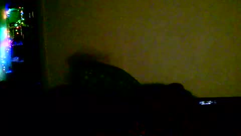 kev online show from February 18, 2026, 1:45 am