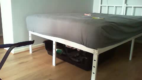 Daddyo online show from February 20, 2026, 11:00 am