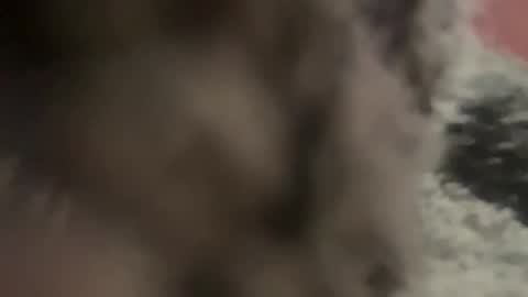 Snapshot of kg1726860 chatting on October 11, 2025, 6:50 pm kg1726860 online show from October 11, 2025, 6:50 pm