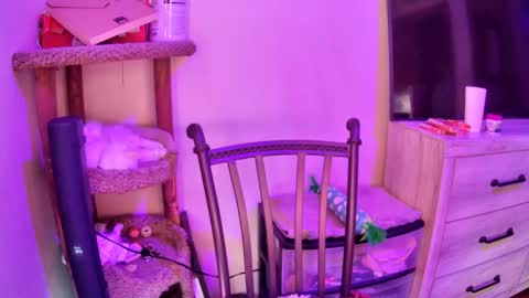 KevKev online show from April 13, 2026, 11:16 am