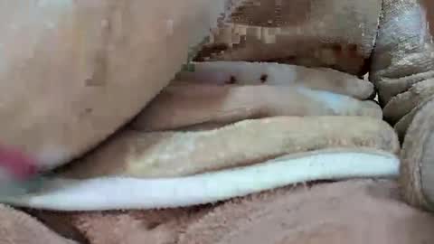 khushisinghh online show from January 22, 2025, 4:02 pm