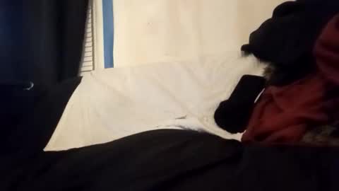 Frankie online show from January 14, 2026, 6:41 am