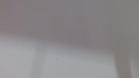 Melody online show from October 11, 2025, 12:04 pm