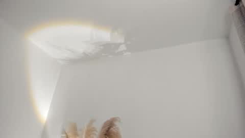 Kim Murphy online show from February 19, 2026, 11:28 am