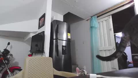 Snapshot of king_russo chatting on January 17, 2025, 3:12 am king_russo online show from January 17, 2025, 3:12 am