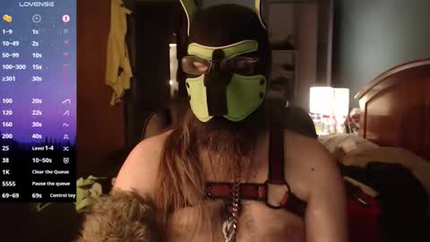 kinkywolf87 online show from February 9, 2026, 4:49 am