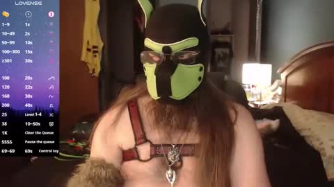 kinkywolf87 online show from April 2, 2026, 3:09 pm