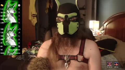 kinkywolf87 online show from July 6, 2026, 10:12 pm
