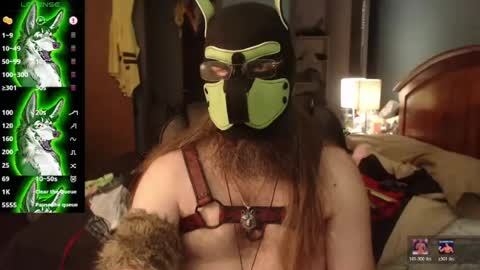 kinkywolf87 online show from July 27, 2026, 5:09 pm
