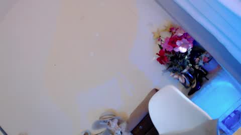 Snapshot of kissmebetter chatting on June 29, 2026, 12:06 am Saint Onicka online show from June 29, 2026, 12:06 am