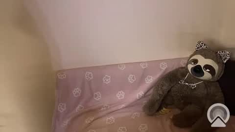 kitiket1 online show from February 11, 2025, 5:40 pm