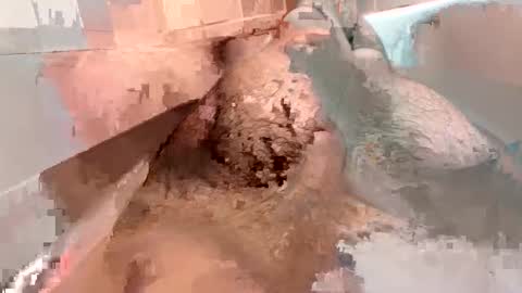 Snapshot of kitkatmac chatting on January 3, 2025, 7:29 pm kitkatmac online show from January 3, 2025, 7:29 pm