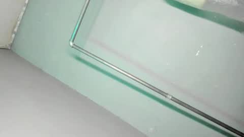 Grace online show from November 29, 2025, 9:45 am