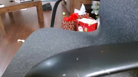 Snapshot of klok6187 chatting on December 23, 2024, 4:01 am klok6187 online show from December 23, 2024, 4:01 am