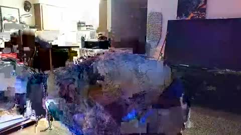 Snapshot of knoxwilder23 chatting on November 30, 2025, 5:55 am Knox Wilder online show from November 30, 2025, 5:55 am