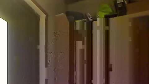 Snapshot of kokin3034 chatting on October 8, 2025, 4:43 am kokin3034 online show from October 8, 2025, 4:43 am