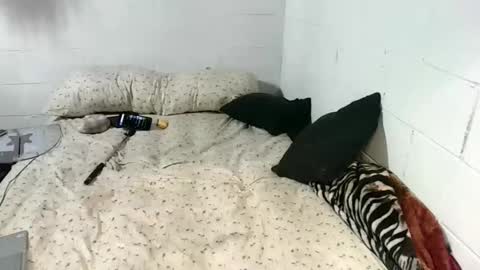 Snapshot of koty1169 chatting on January 13, 2026, 10:04 pm Katybaby online show from January 13, 2026, 10:04 pm