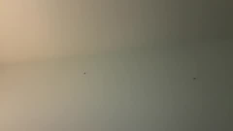 Snapshot of kovapoika chatting on October 23, 2025, 10:58 am kovapoika online show from October 23, 2025, 10:58 am