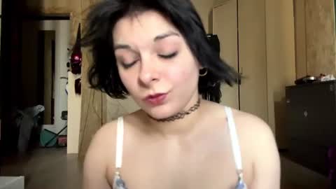 Regina online show from July 7, 2026, 11:14 am