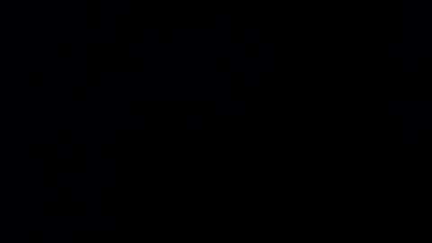 kvicali online show from December 19, 2024, 11:14 pm