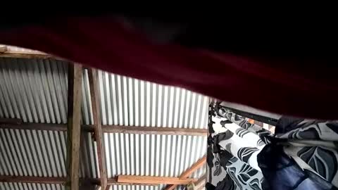 kylie online show from April 10, 2026, 12:16 am