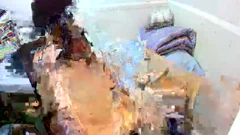 Eynah online show from September 11, 2025, 4:56 am