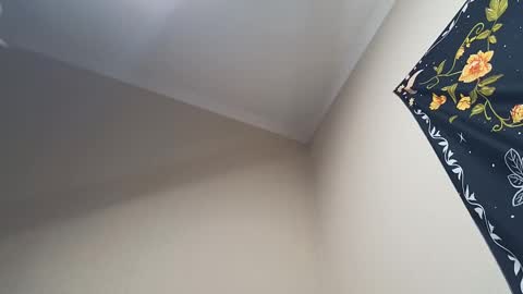 Snapshot of l_adonis_l chatting on February 28, 2025, 4:32 am Adonis online show from February 28, 2025, 4:32 am